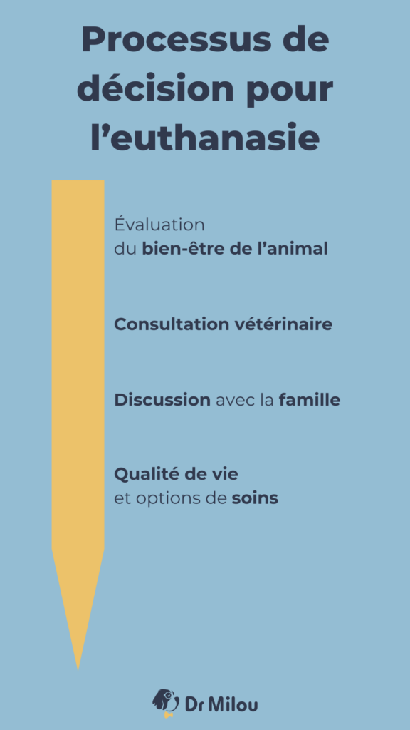 Le processus de décision pour l'euthanasie. Parlez-en avec votre vétérinaire à domicile Dr Milou