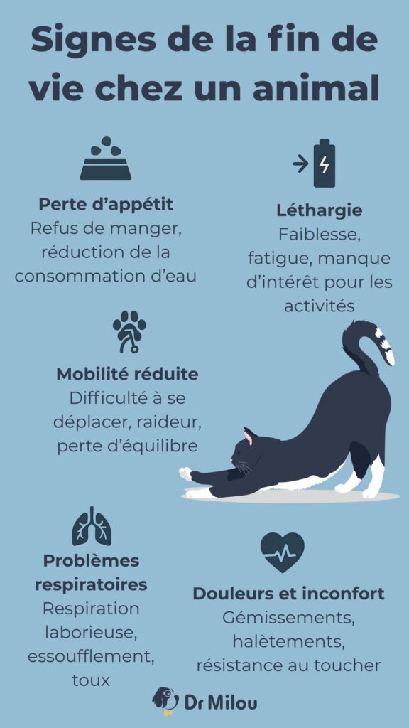 Les signes de la fin de vie chez un animal : demandez conseil à Dr Milou, vos vétérinaires à domicile