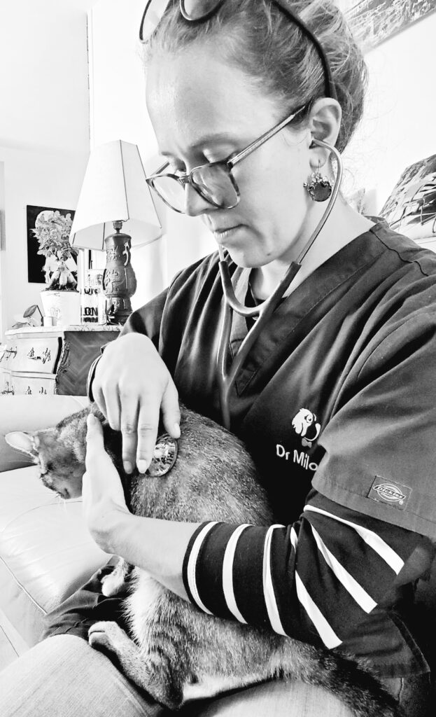 Les vétérinaires Dr Milou soignent à domicile le calicivirus chez le chat.
