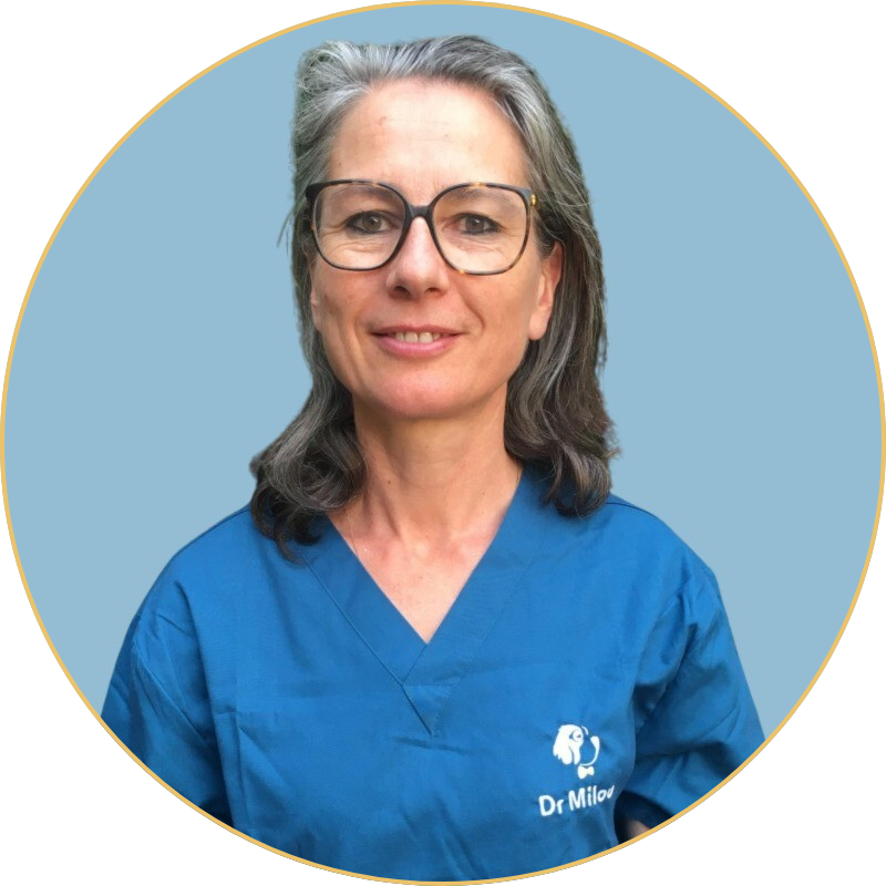 Dre France Flamant veterinaire a domicile