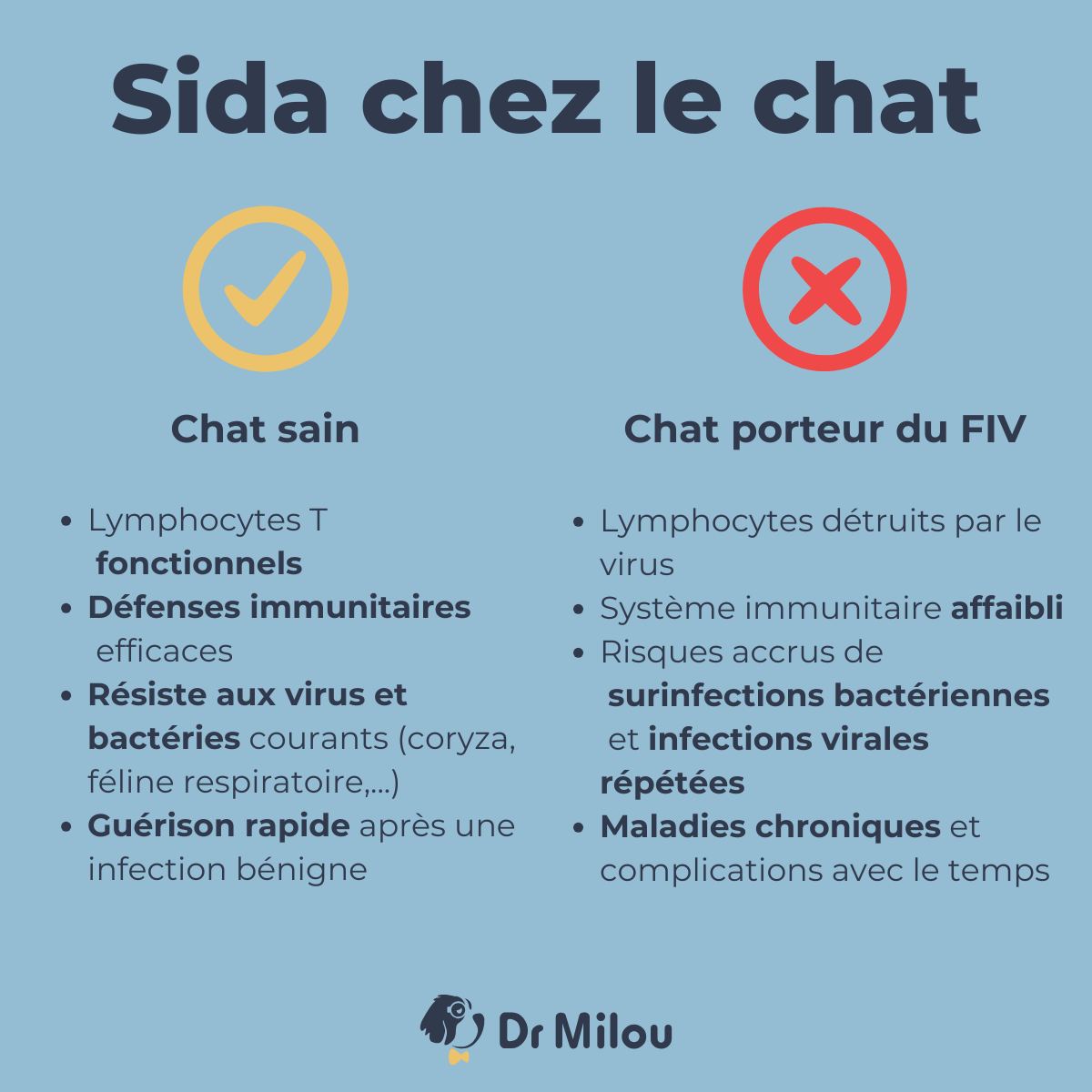 Sida chez le chat : faites le suivi vétérinaire à la maison avec Dr Milou
