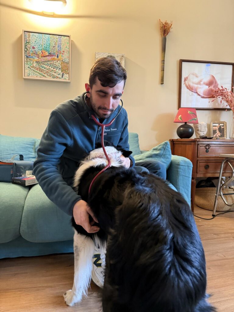 Les vétérinaires à domicile Dr Milou se déplacent pour prendre soin de vos animaux dans le confort de votre foyer.