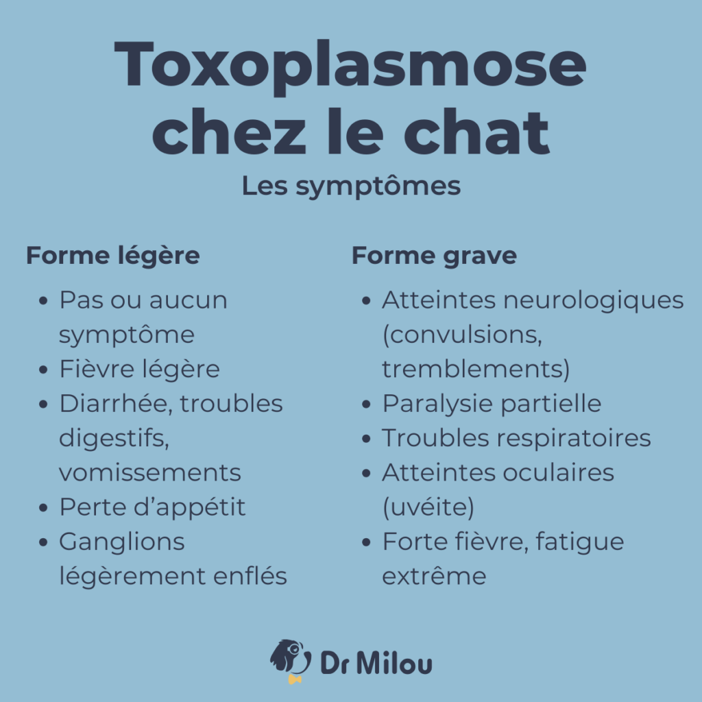 Toxoplasmose chez le chat symptômes et traitements Dr Milou — free download
