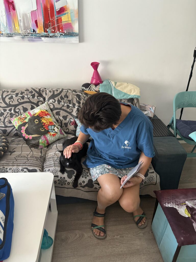 Les vétérinaires à domicile Dr Milou se déplacent pour traiter le vitiligo chez le chat.