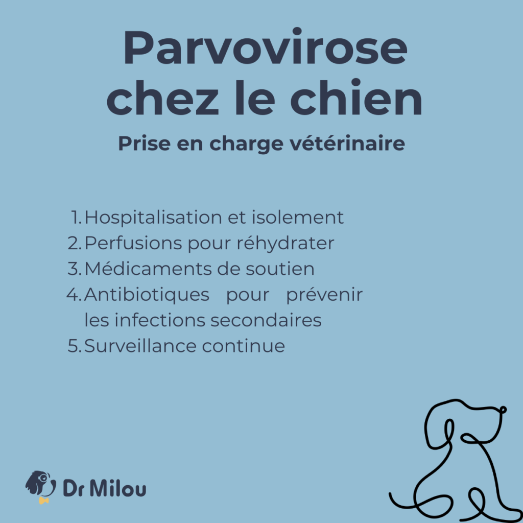 Dr Milou, vétérinaires à domicile, peuvent prendre en charge un chien souffrant de la parvovirose.