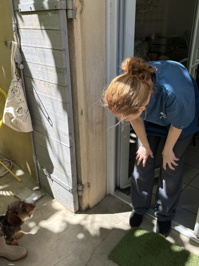 Dr Milou soigne vos animaux à domicile. Ici dans le cas de la parvovirose chez le chien.