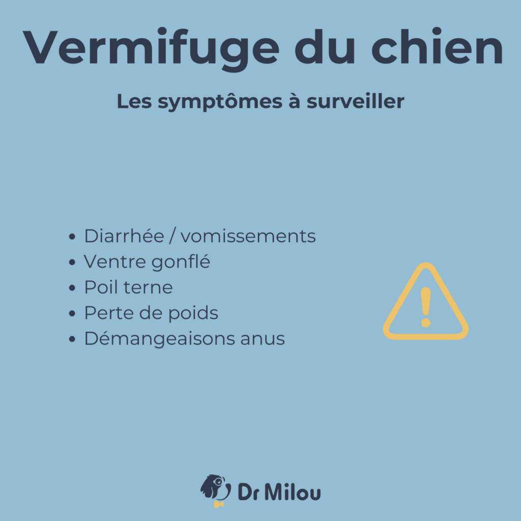 Dr Milou, vétérinaires à domicile, vous détaille les symptômes à surveiller dans le cadre du vermifuge de votre chien.