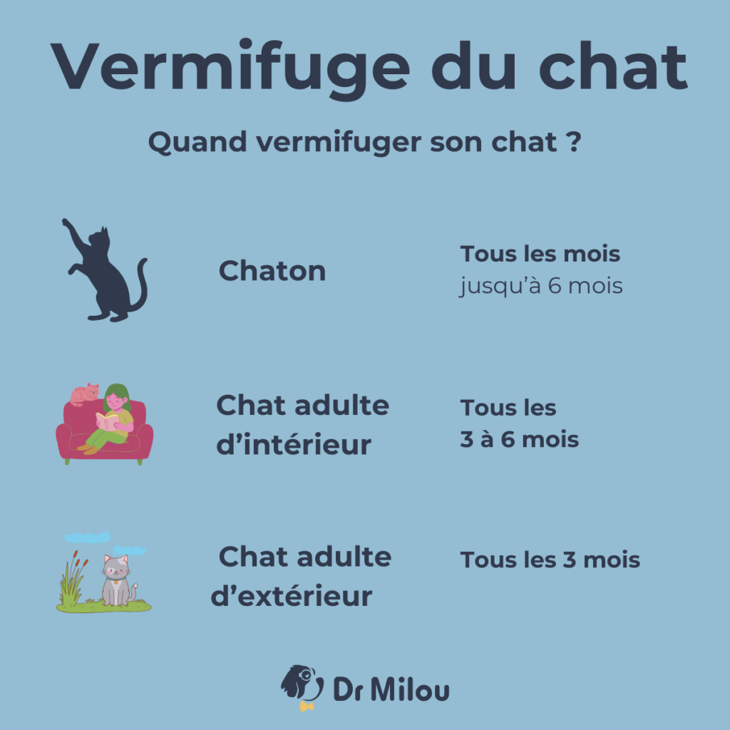 Les vétérinaires à domicile Dr Milou vous détaille le calendrier du vermifuge du chat.