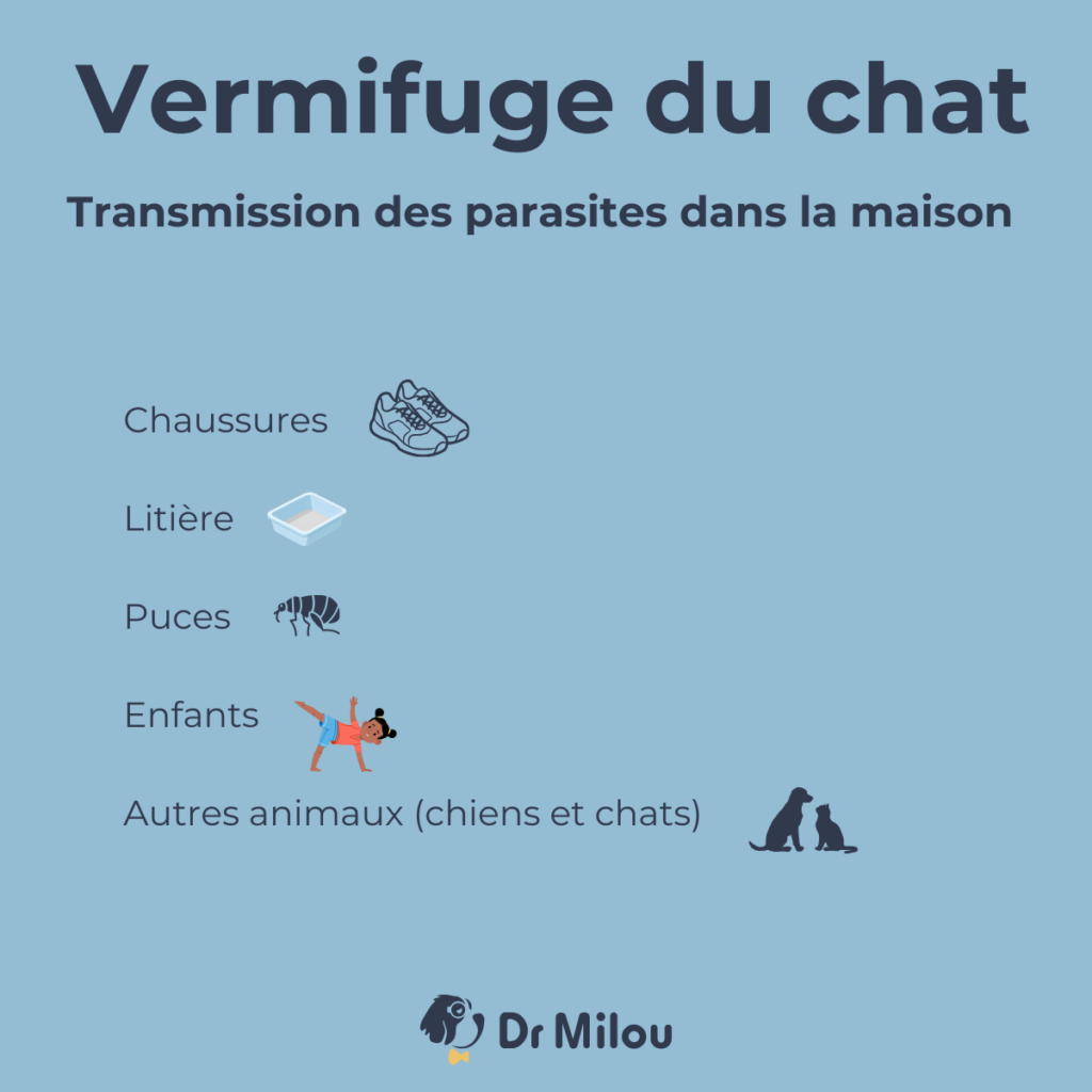 Les vétérinaires à domicile Dr Milou vous explique la transmission des parasites dans la maison.