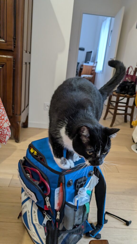 Les maladies du chat, expliquées par Dr Milou, vétérinaires à domicile