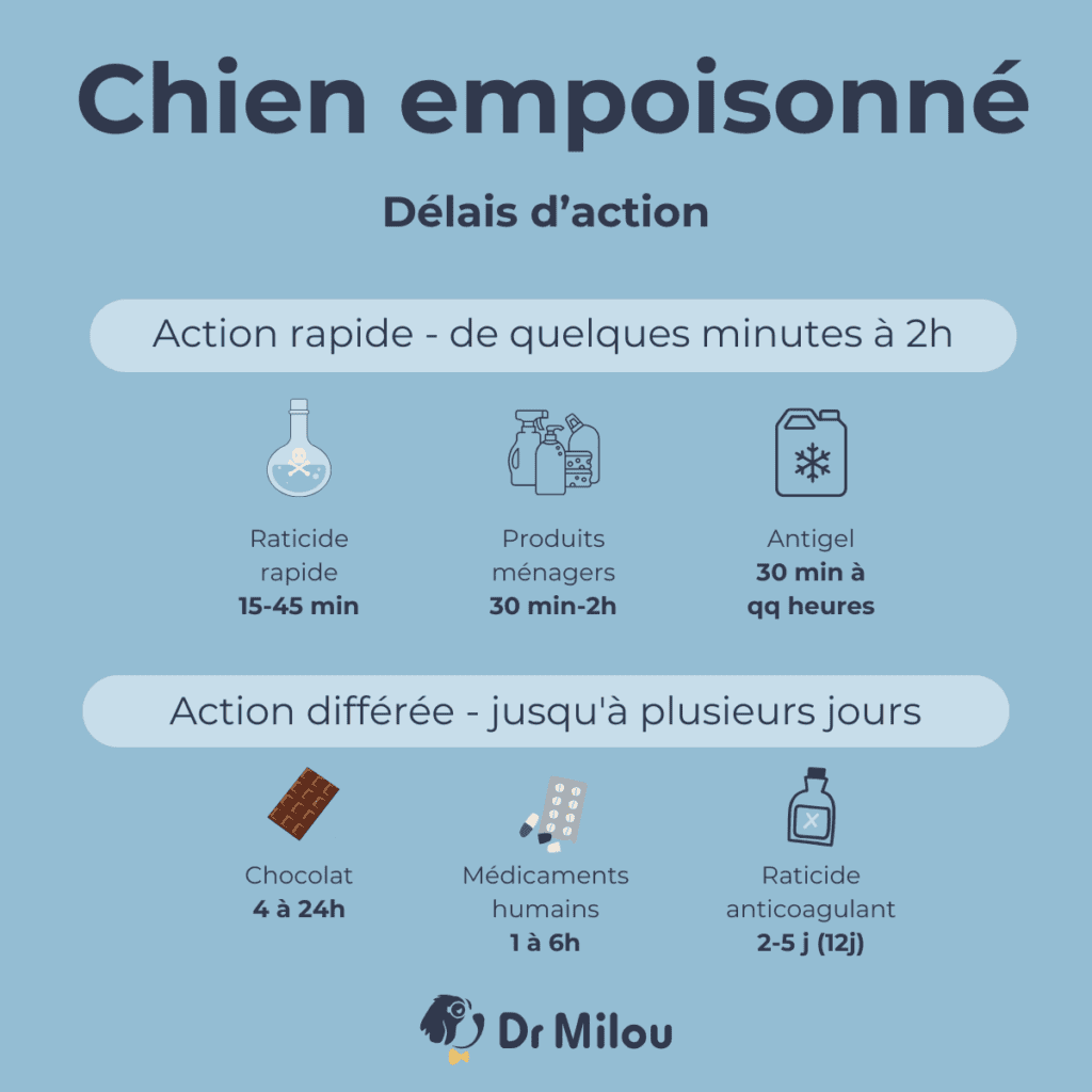 Chien empoisonné-délais action-dr milou-vétérinaires à domicile