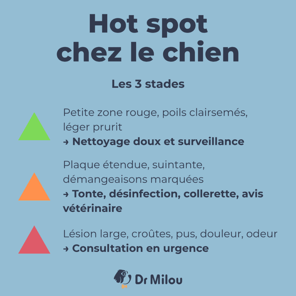 Hot spot chien-les 3 stades-dr milou - vétérinaires à domicile