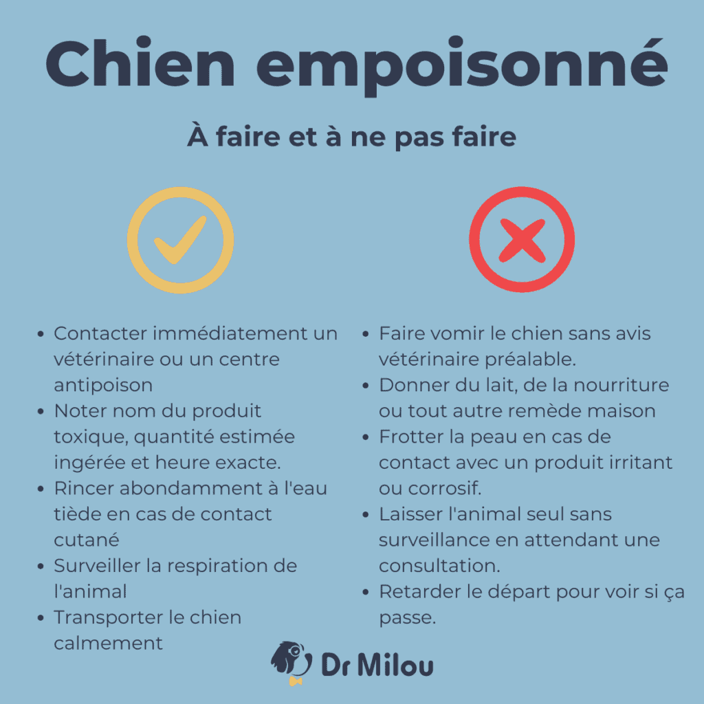 chien empoisonné- à faire et ne pas faire-dr milou-vétérinaires à domicile