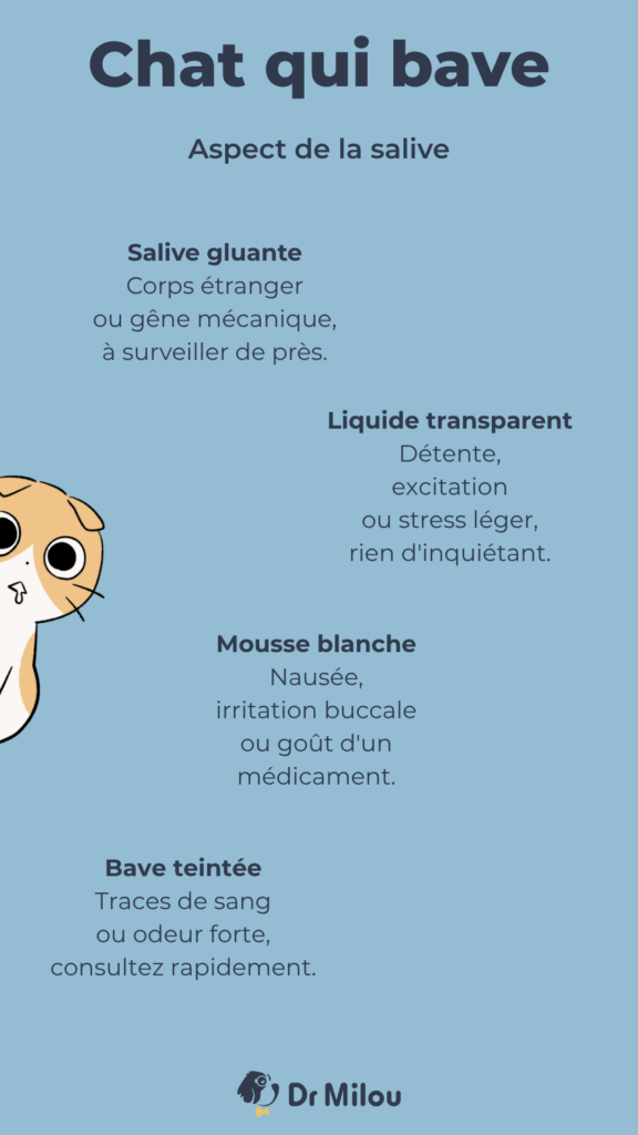 Chat qui bave - aspect de la salive-dr milou - vétérinaires à domicile