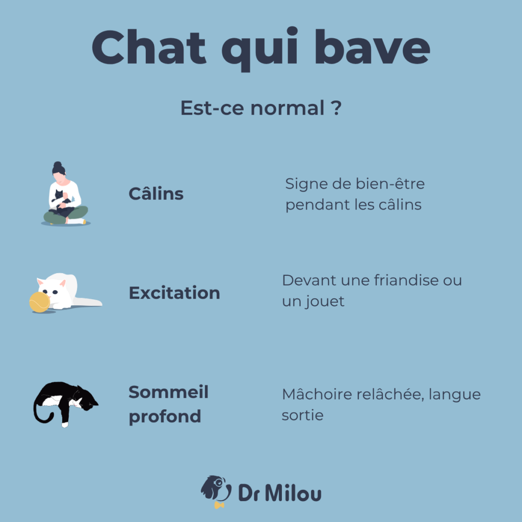 Chat qui bave - est-ce normal-dr milou - vétérinaires à domicile