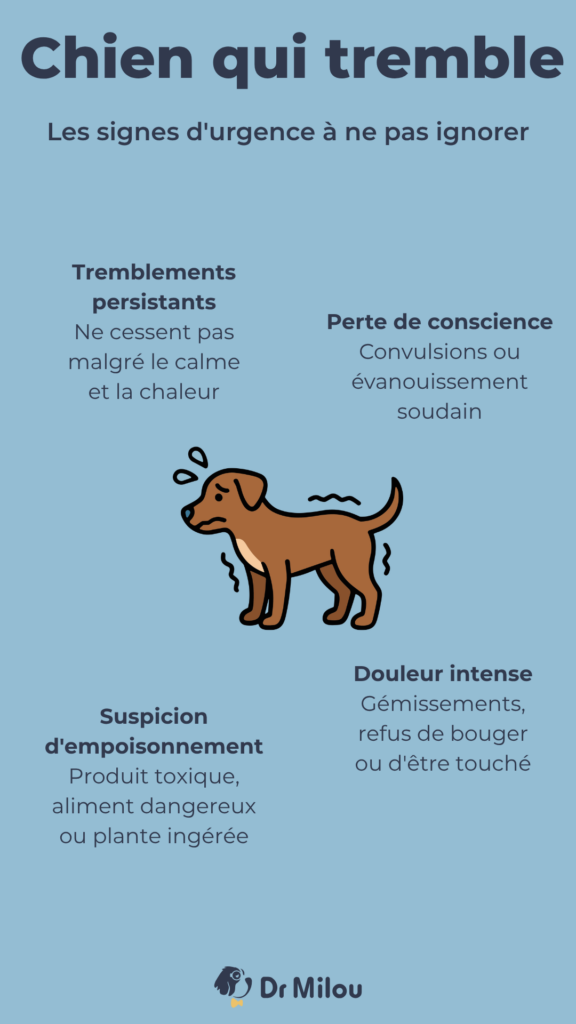 Chien qui tremble-signaux d'urgence- dr milou - vétérinaires à domicile