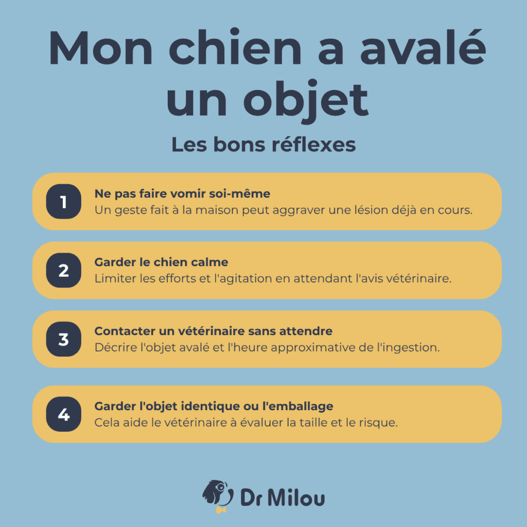 Votre chien a avalé un objet ? Voici les bons réflexes. Et contactez Dr Milou, vétérinaires à domicile.