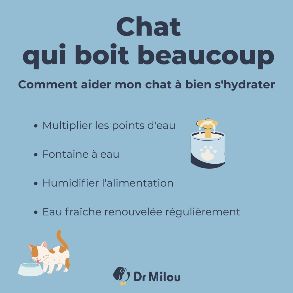 Dr Milou - vétérinaires à domicile - Chat qui boit beaucoup-Comment aider mon chat à bien s'hydrater
